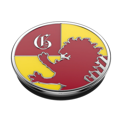 Enamel Harry Potter Gryffindor
