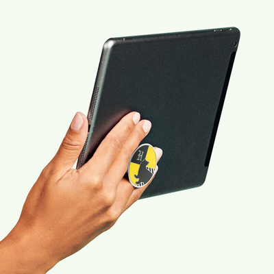 Enamel Harry Potter Hufflepuff